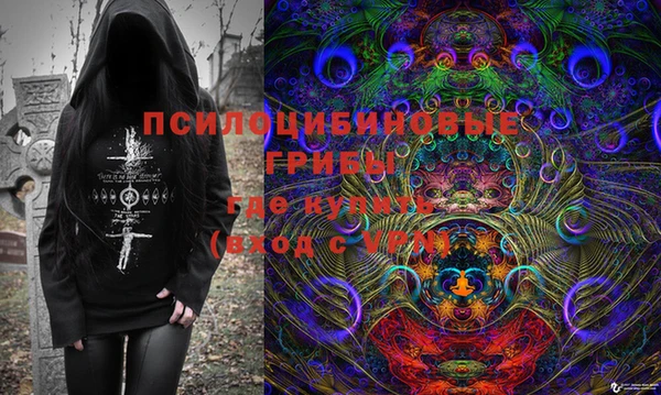 первитин Вяземский
